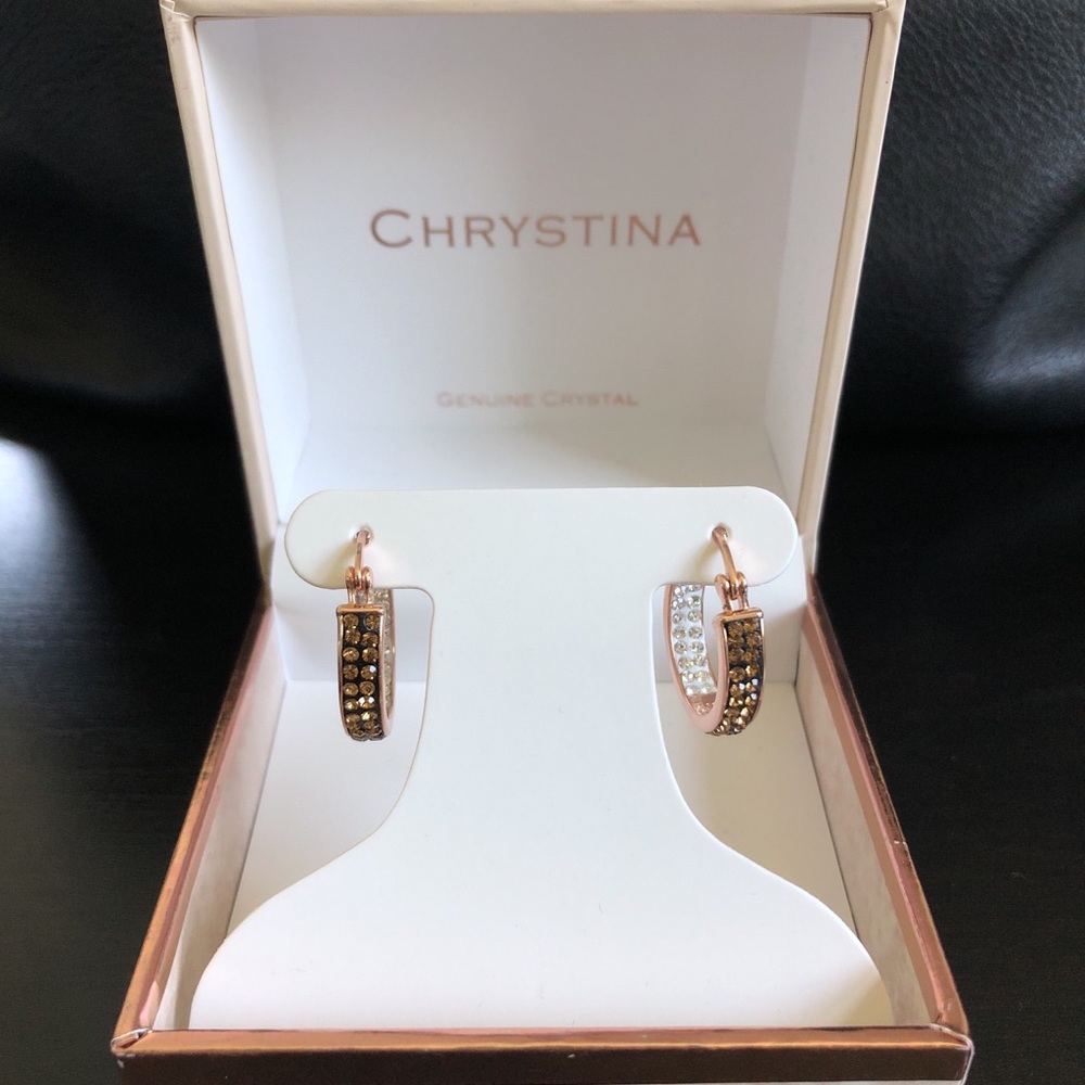 Rose Gold Hoop Earrings